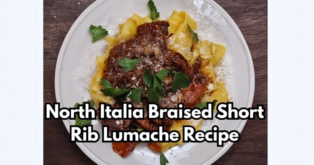 North Italia Braised Short Rib Lumache Recipe