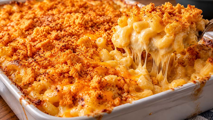 pepper belly pete mac and cheese